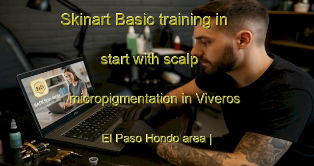 Skinart Basic training in start with scalp micropigmentation in Viveros El Paso Hondo area | SmpTraining | SmpClasses | SkinartTraining-Mexico